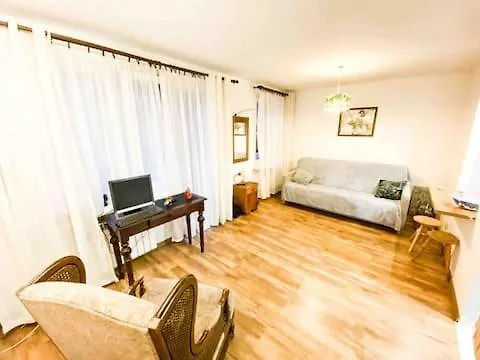 Comfortable Apartment